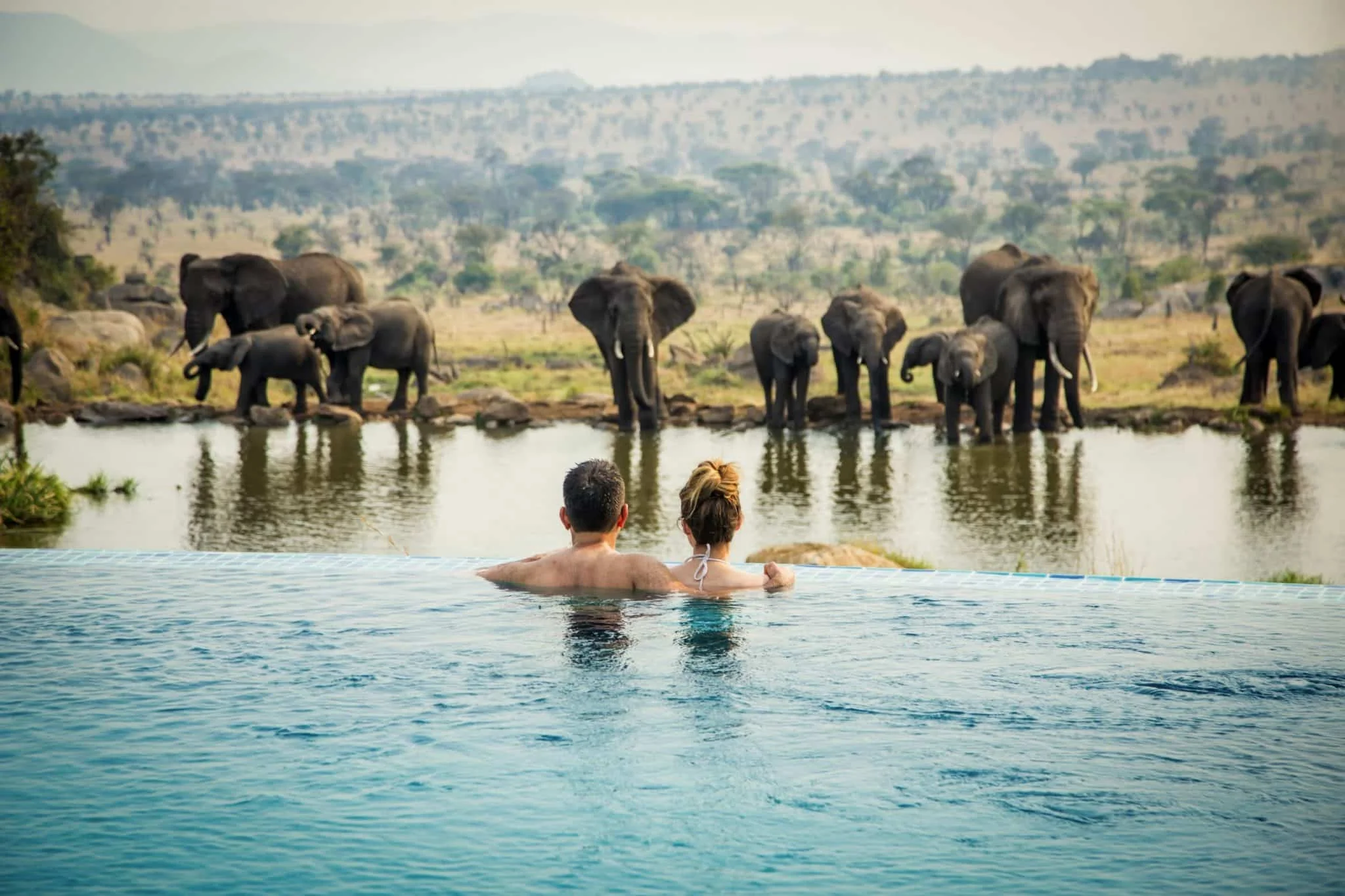 Nature Wildlife