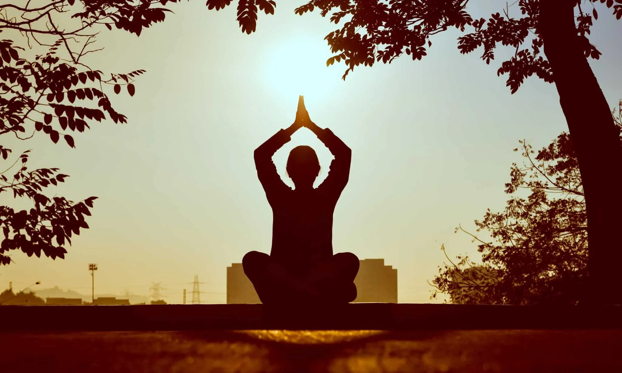meditation - yoga